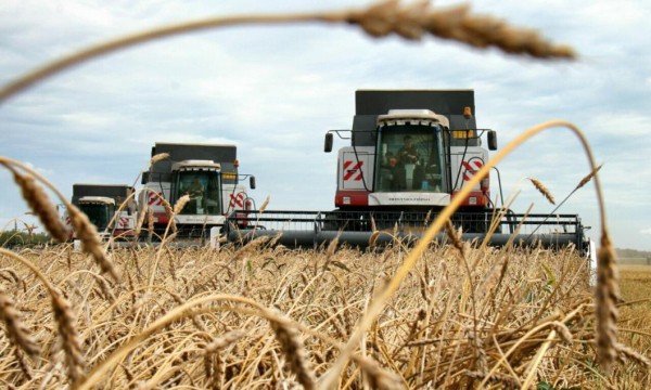 Аграрии Уватского района обмолотили 453 тонны зерна 