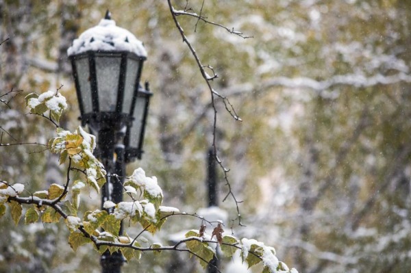 Тюменцев предупреждают о мокром снеге и гололеде 5 ноября 