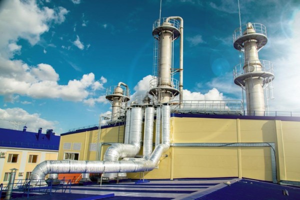 В Тюменской области запущено три инвестпроекта в сфере агропромышленного комплекса