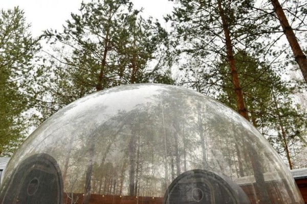 Команды десяти районов Тюменской области представили инвестиционные проекты на акселераторе 