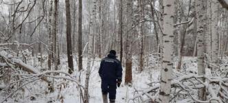 Заблудившуюся семейную пару вывели из леса спасатели в Тюменском районе