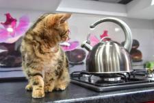 Новый газопровод ввели в эксплуатацию в Исетском районе