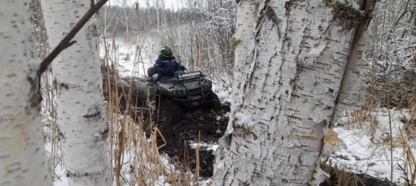 Заблудившуюся семейную пару вывели из леса спасатели в Тюменском районе