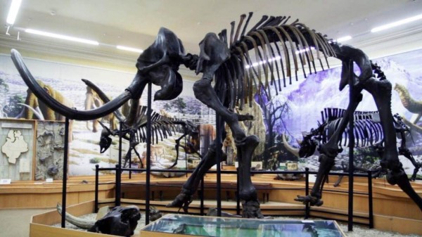 137-й день рождения тюменского мамонта Иваныча отметят в "Ночь искусств"