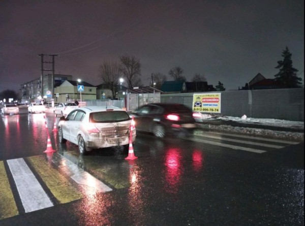 Водитель сбил на пешеходном переходе бабушку с внучкой в Ишиме