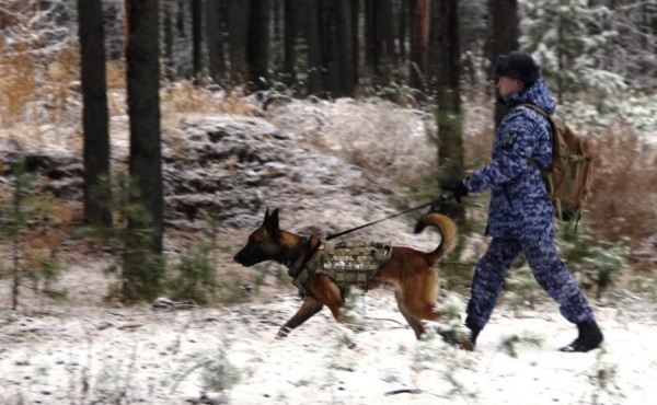 В Тюмени проходят подготовку кинологи Росгвардии со всей страны