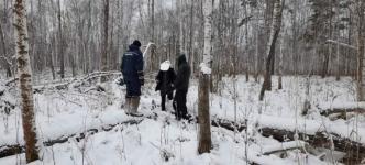 Заблудившуюся семейную пару вывели из леса спасатели в Тюменском районе