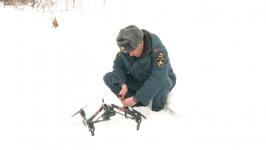 Сбежавшего северного оленя ищут в Тюмени