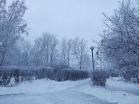 В Тюмени деревья к Новому году "оделись" в куржак