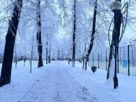 В Тюмени деревья к Новому году "оделись" в куржак