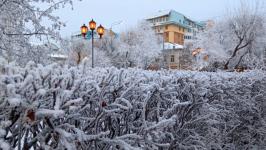 В Тюмени деревья к Новому году "оделись" в куржак