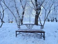 В Тюмени деревья к Новому году "оделись" в куржак