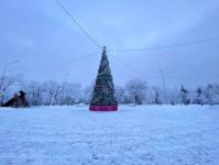 В Тюмени деревья к Новому году "оделись" в куржак