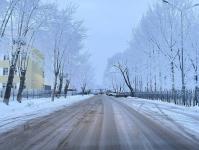 В Тюмени деревья к Новому году "оделись" в куржак