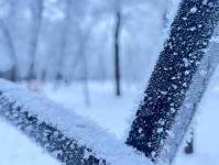 В Тюмени деревья к Новому году "оделись" в куржак