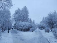 В Тюмени деревья к Новому году "оделись" в куржак