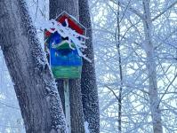 В Тюмени деревья к Новому году "оделись" в куржак