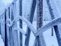 В Тюмени деревья к Новому году "оделись" в куржак