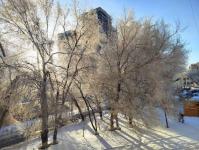 В Тюмени деревья к Новому году "оделись" в куржак