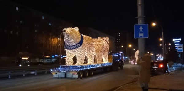 Семью белых медведей провезли по улицам Тюмени