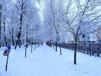 В Тюмени деревья к Новому году "оделись" в куржак