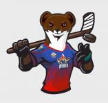 Хоккейную команду из сотрудников МЧС создали в Тюмени