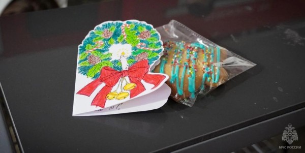 Ученики 20 школ Тюменской области стали Дедами Морозами для врачей и пожарных