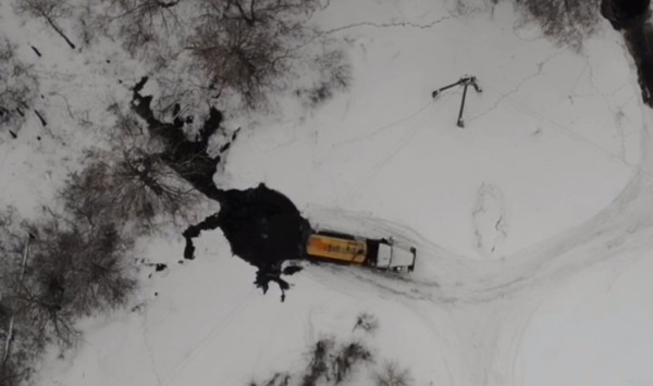 Нелегальный сброс отходов выявили в Ишимском лесничестве