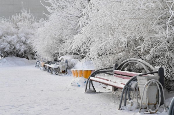 15 января - события дня 