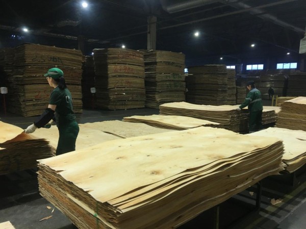 Тюменская фанера используется в авиастроительстве и даже летает в космос Тюменская фанера используется в авиастроительстве и даже летает в космос