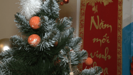 Тюменцы отметили Лунный Новый год с иностранными студентами