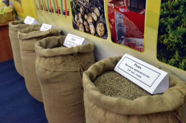 Из Тюменской области в Казахстан отправили 40 тонн ячменя и пшеницы Из Тюменской области в Казахстан отправили 40 тонн ячменя и пшеницы