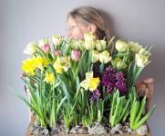 Эксклюзивные сорта тюльпанов выращивают на частной ферме в Тюмени