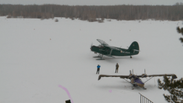 Тюменские "моржи" прыгнули с парашютом в честь годовщины начала СВО