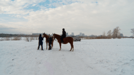 В Тюмени добровольцев "ЛизаАлерт" учат искать пропавших людей на лошадях
