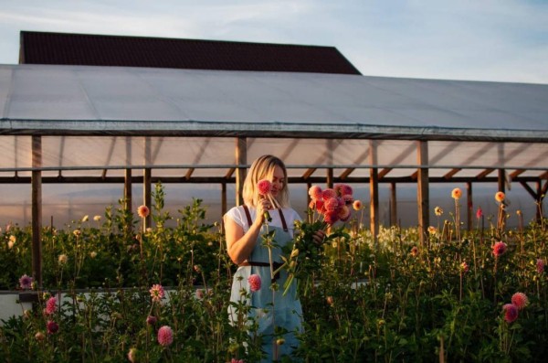 Эксклюзивные сорта тюльпанов выращивают на частной ферме в Тюмени