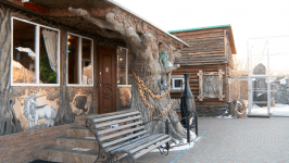 Дом для кошек ответственных хозяев строят на территории реабилитационного зооцентра в Тюмени