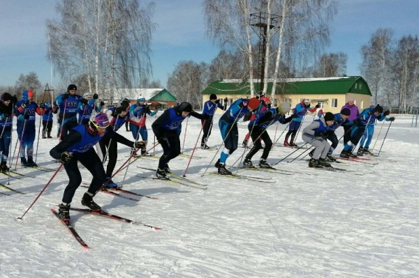 Лыжный марафон "Время сильных" пройдет в Викуловском районе Лыжный марафон "Время сильных" пройдет в Викуловском районе