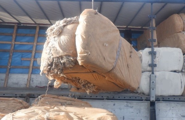 Партию овечьей шерсти из Туркменистана не пропустили на тюменской таможне 