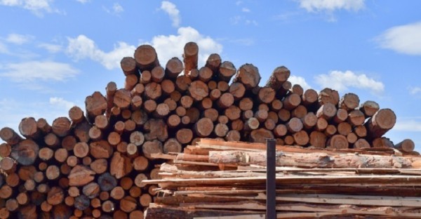 Тюменским экспортерам компенсировали 1,5 миллиона рублей расходов по отправке  грузов до границы России