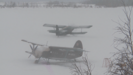 Тюменские "моржи" прыгнули с парашютом в честь годовщины начала СВО