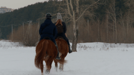 В Тюмени добровольцев "ЛизаАлерт" учат искать пропавших людей на лошадях