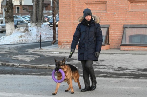 В Тюменской области в феврале замедлился прирост цен в сфере услуг