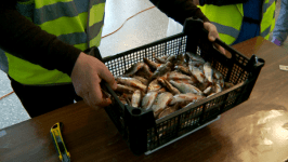 40 рыбаков собрал Кубок Западной Сибири в деревне Янтык 40 рыбаков собрал Кубок Западной Сибири в деревне Янтык