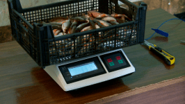 40 рыбаков собрал Кубок Западной Сибири в деревне Янтык 40 рыбаков собрал Кубок Западной Сибири в деревне Янтык