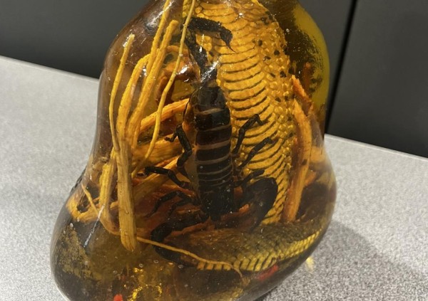 Таможня не пропустила в Тюмень пассажира с настойкой на змее и скорпионе Таможня не пропустила в Тюмень пассажира с настойкой на змее и скорпионе