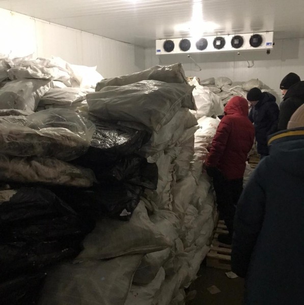 ФСБ пресекла в Тюмени незаконный канал поставок и сбыта рыбы