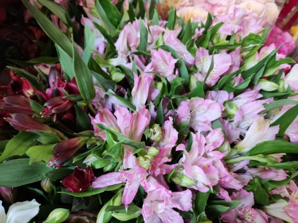 Здоровья, благополучия и исполнения желаний пожелал жительницам Тюменской области Александр Моор