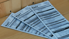 Александр Пушкин вручал тюльпаны тюменкам у "Культурной точки"