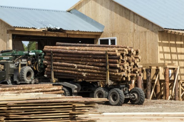 Из Тюменской области экспортировали 240 кубометров пиломатериалов в Афганистан